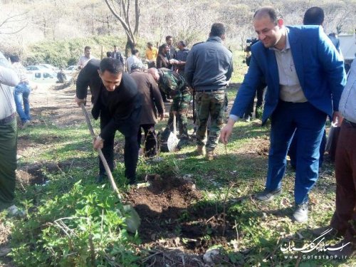 کاشت درخت باحضور فرماندار و مسئولین ادارات شهرستان علی آباد کتول در روز درختکاری
