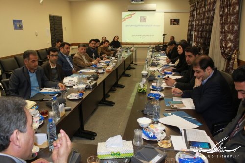 توسعه دولت الکترونیک باعث رشد گلستان می شود