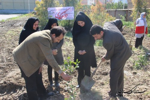 مراسم درختکاری یادبود سیزده شهیده استان گلستان