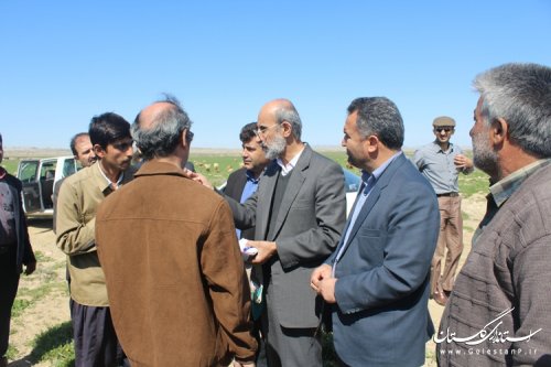 حضور رئیس سازمان دامپزشکی کل کشور در شهرستان مراوه تپه