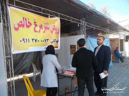 افتتاح نوروزگاه و بازارچه عیدانه در شهرستان ترکمن
