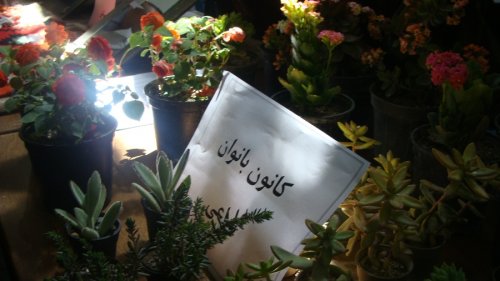 امروز در دنیا جایی نیست که فرش بافته شده با دستان هنرمند دختر ترکمن را نشناسد