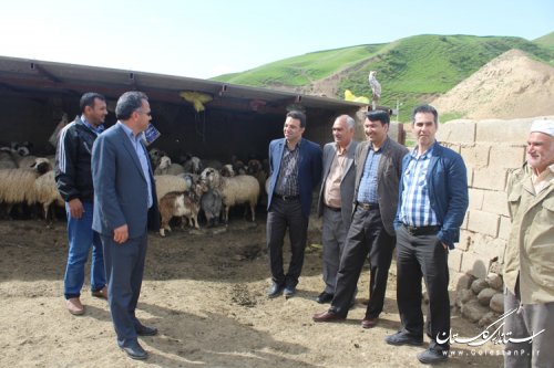 بازدید فرماندار مراوه تپه از روستای قرناق بخش گلیداغ