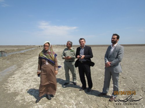 بازدید فرماندار از تالاب بین المللی گمیشان