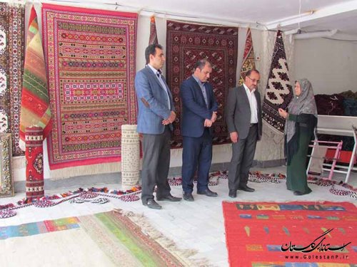 بازدید مدیر کل تعاون،کار و رفاه اجتماعی گلستان از دو واحد تولیدی در غرب استان