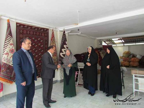 بازدید مدیر کل تعاون،کار و رفاه اجتماعی گلستان از دو واحد تولیدی در غرب استان