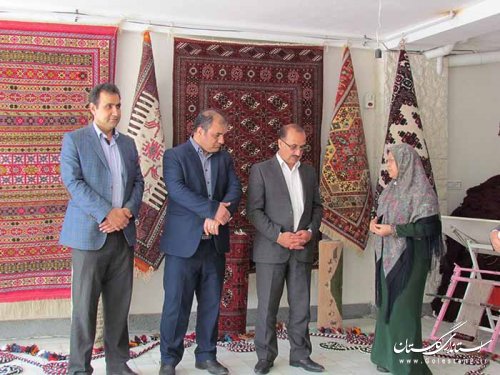بازدید مدیر کل تعاون،کار و رفاه اجتماعی گلستان از دو واحد تولیدی در غرب استان