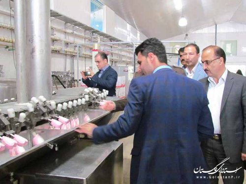 بازدید مدیر کل تعاون،کار و رفاه اجتماعی گلستان از دو واحد تولیدی در غرب استان
