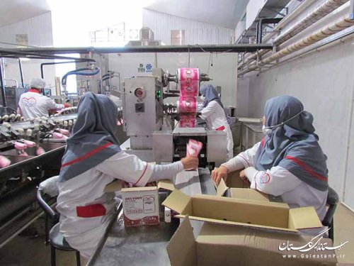 بازدید مدیر کل تعاون،کار و رفاه اجتماعی گلستان از دو واحد تولیدی در غرب استان