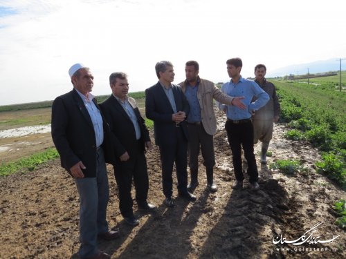 بازدید میدانی فرماندارآق قلا از آبگرفتگی روستای قربان آباد بخش مرکزی