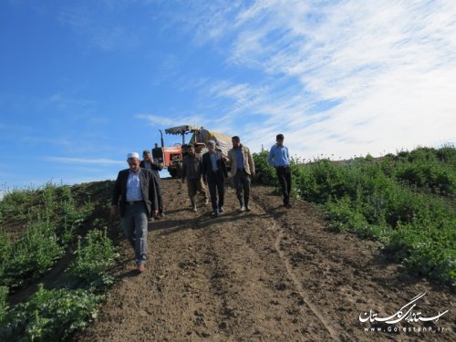 بازدید میدانی فرماندارآق قلا از آبگرفتگی روستای قربان آباد بخش مرکزی
