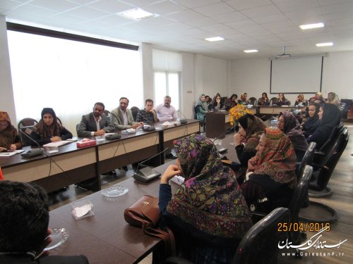 نشست بانوان بافنده شبکه تولید فرش شهرستان با فرماندار گمیشان