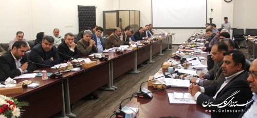 گندم مهم‌ترین برند اقتصادی گلستان است