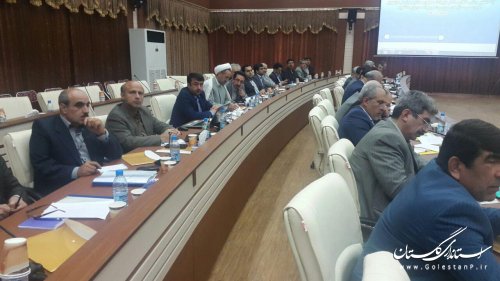 اولین نشست مشترک شورای برنامه ریزی و توسعه استان های منطقه یک کشور