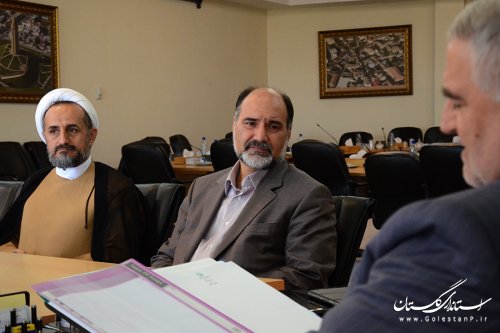 ظرفیت های ملی باید به کمک اقدامات فرهنگی گلستان بیاید
