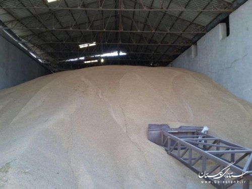 بازدید فرماندار از مراکز خرید گندم در شهرستان گرگان