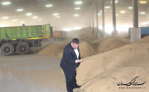 بازدید فرماندار شهرستان آزادشهر از سیلوهای ذخیره گندم شهرستان