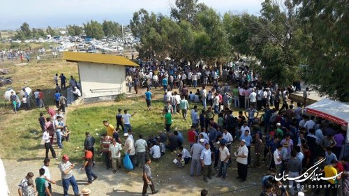 حضور فرماندار در مسابقات کورس اسبدوانی بندرترکمن