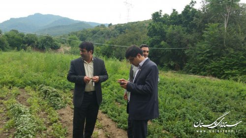 بازدید بخشدار مرکزی گالیکش و مسئولین صندوق کارآفرینی امید از پروژه های اشتغالزایی