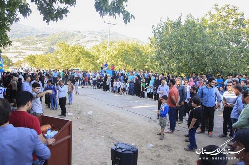 جشنواره برداشت آلو در روستای فارسیان گالیکش برگزار شد