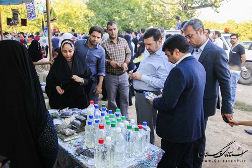 جشنواره برداشت آلو در روستای فارسیان گالیکش برگزار شد