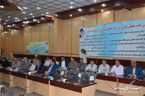 عملیات اجرایی و افتتاح 210 پروژه در هفته دولت در گنبد کاووس آغاز می شود
