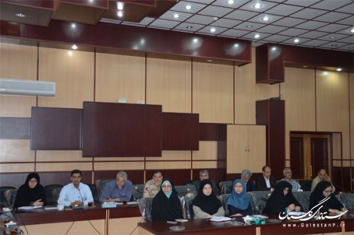 عملیات اجرایی و افتتاح 210 پروژه در هفته دولت در گنبد کاووس آغاز می شود
