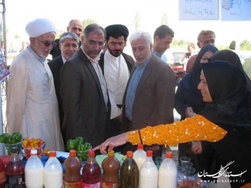 نمایشگاه صنایع دستی و مواد غذایی ارگانیک در بندرگز گشایش یافت