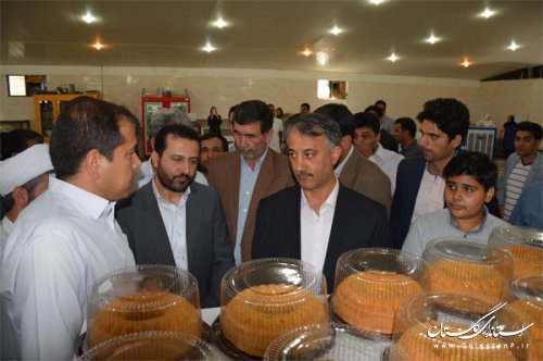 193 طرح اشتغالزای صندوق کارآفرینی امید در گنبد کاووس افتتاح شد