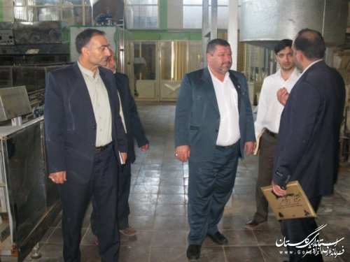 بازدید فرماندار آزادشهر از شهرک صنعتی