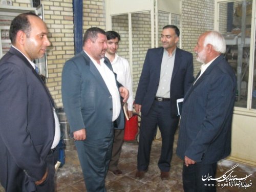 بازدید فرماندار آزادشهر از شهرک صنعتی