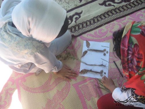 اردوی فرهنگی تفریحی با عنوان "من زمین را دوست دارم"