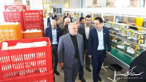 ریسک پذیری تولیدکنندگان موجب رونق تولید و اشتغال می شود