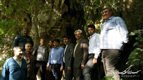 بازدید مدیرکل میراث فرهنگی، صنایع دستی و گردشگری از آبشار روستای فارسیان