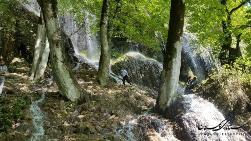 بازدید مدیرکل میراث فرهنگی، صنایع دستی و گردشگری از آبشار روستای فارسیان
