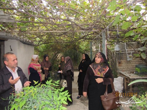 بازدید مدیرکل امور بانوان استانداری از مشاغل خانگی و تعاونی های بانوان گمیشان