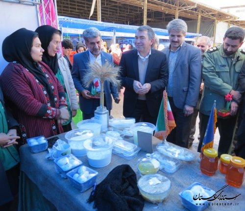 بازدید و قدردانی فرماندار شهرستان آق قلا از برگزار کنندگان نمایشگاه اقتصاد مقاومتی