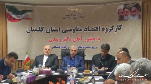 عملکرد مدیریت اقتصاد مقاومتی در گلستان موفقیت آمیز و رو به رشد بوده است