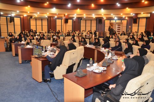 ناقص بودن زنجیره فروش تولیدات زنان گلستان