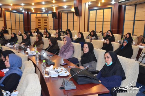 ناقص بودن زنجیره فروش تولیدات زنان گلستان