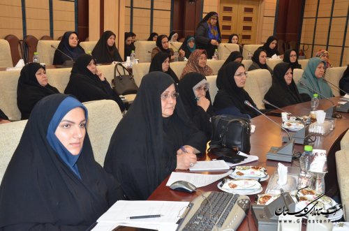 ناقص بودن زنجیره فروش تولیدات زنان گلستان