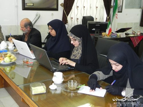 تشریح برنامه های اجرایی دهه ی مبارک فجر شهرستان مینودشت در نشست خبری