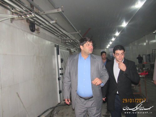 بازدید فرماندار گمیشان از کارخانه پنیر آشوراده