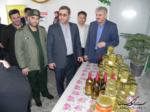 افتتاح نمایشگاه تولید محصولات کشاورزی در مینودشت