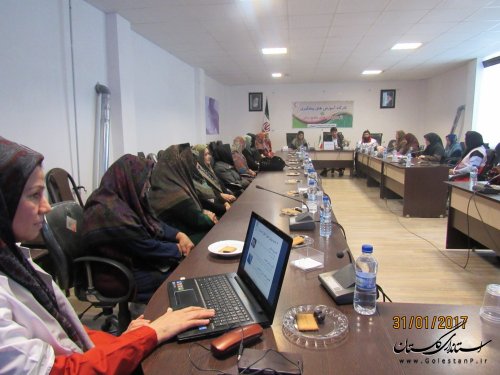 کارگاه آموزشی شناخت سرطان ویژه زنان شاغل در ادارات شهرستان برگزار شد