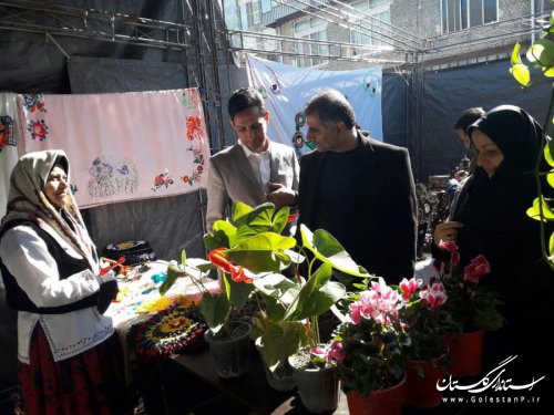 افتتاحیه نمایشگاه صنایع دستی و تولیدات روستایی  بخش مرکزی بندرگز برگزار شد