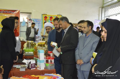 نمایشگاه توانمندی های بانوان گنبدی آغاز بکار کرد