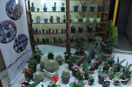 افتتاح نمایشگاه توانمندی های مدیریت جهاد کشاورزی شهرستان گرگان