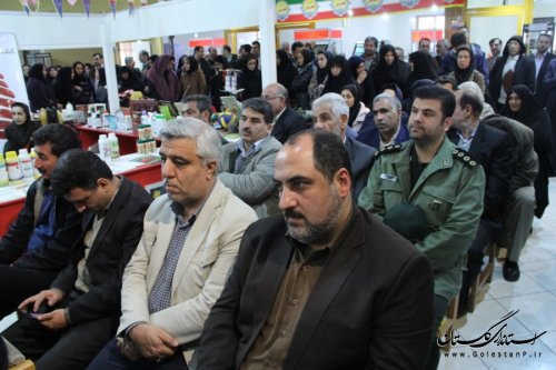 افتتاح نمایشگاه توانمندی های مدیریت جهاد کشاورزی شهرستان گرگان