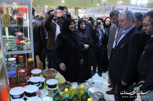 افتتاح نمایشگاه توانمندی های مدیریت جهاد کشاورزی شهرستان گرگان